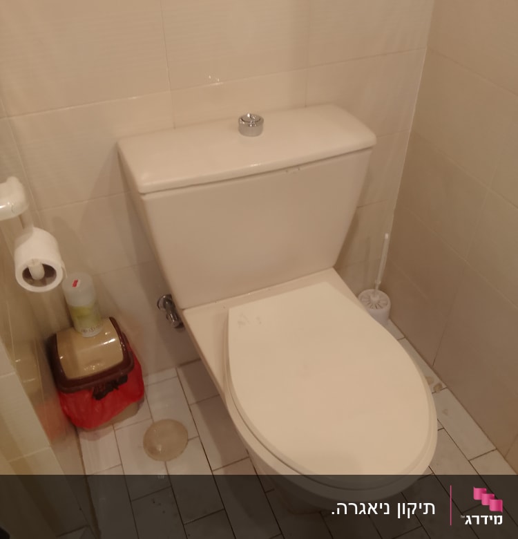 אסלה עם מברשת ניקוי ליד הקיר